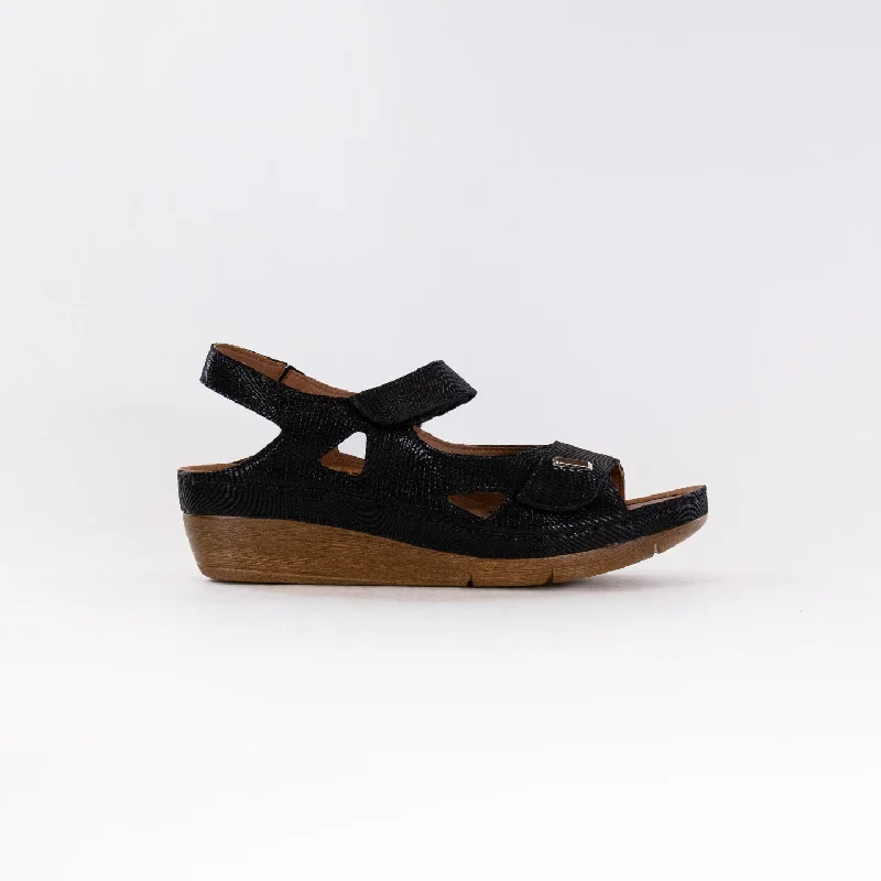 Vibrant and colorful women's shoe collectionsV Italia 619-F23 (Women's) -Black Shimmer Leather
