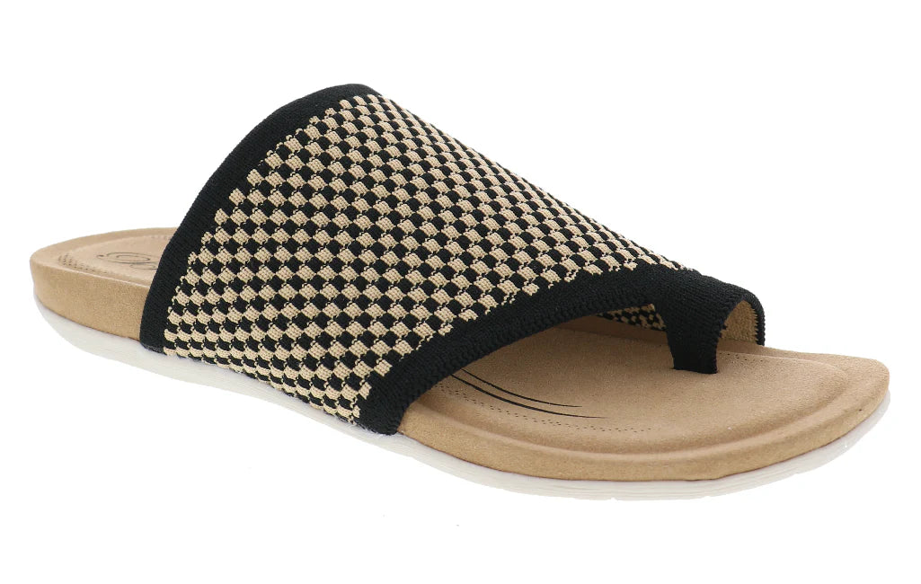Luxurious and opulent women's shoe optionsBIZA LAVISH